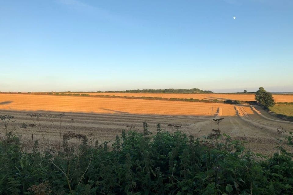 Take a walk over the fields from the apartment.