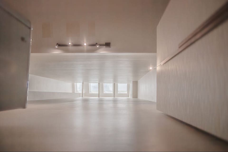 40 Ft. Architectural Skylight  lets in natural light