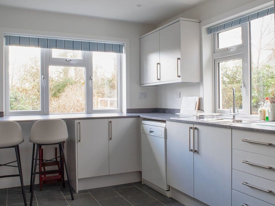 Kitchen, Countertop, Kitchen Appliance, Cabinetry, Interior Design, Flooring, Wood, Furniture, Major Appliance, Home