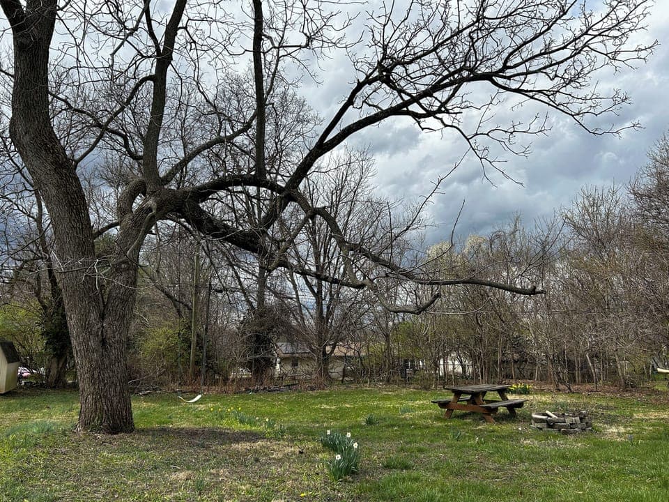 Backyard, picknick table