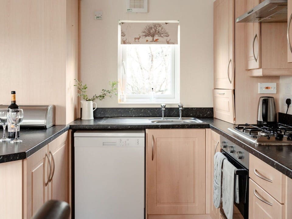 Kitchen Appliance, Kitchen, Countertop, Major Appliance, Furniture, Cabinetry, Home Appliance, Interior Design, Stove, Kitchen Stove