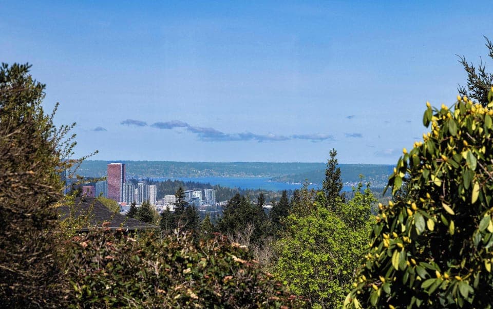 A breathtaking view where lush greenery meets urban skyline and distant mountains.