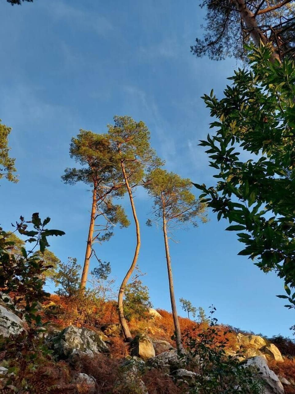 E246bad8 8a6b 4714 838c 2ed321d7979c