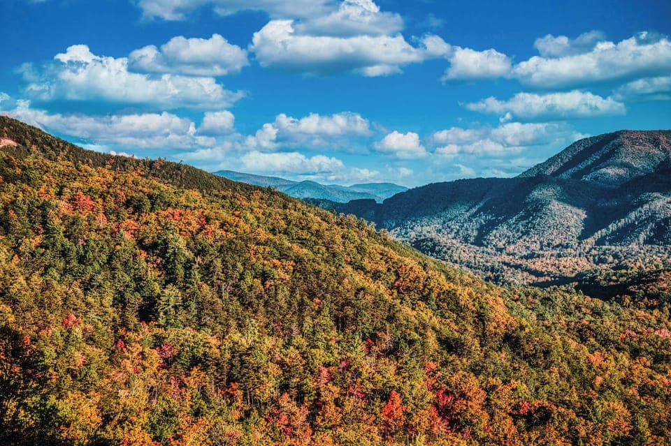 Be sure to get some hiking in at our amazing GSMNP