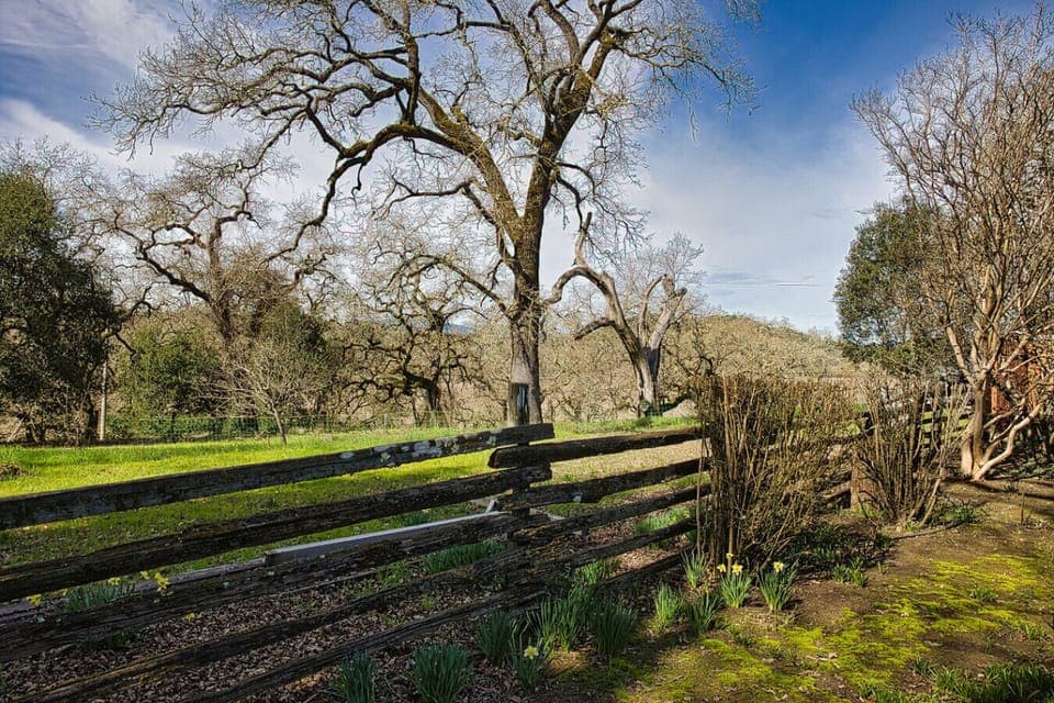 Around the property lies beautiful oak trees and mossy fences