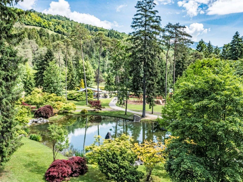 Tree, Nature, Vegetation, Natural Landscape, Landscape, Shrub, Garden, Botanical Garden, Larch, Forest