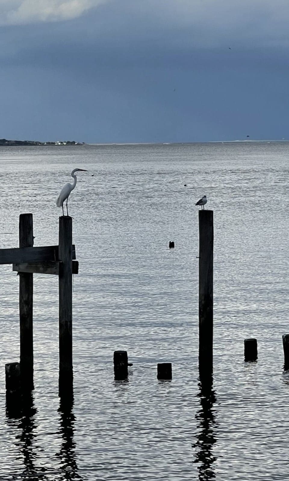 Galveston Bay