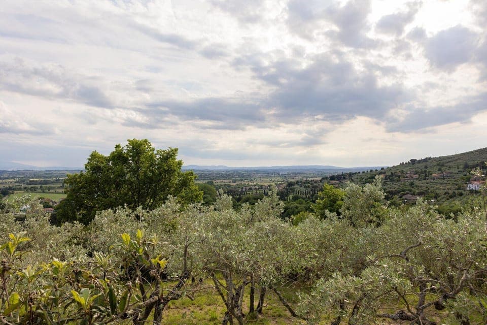 View from Holiday Home [summer]