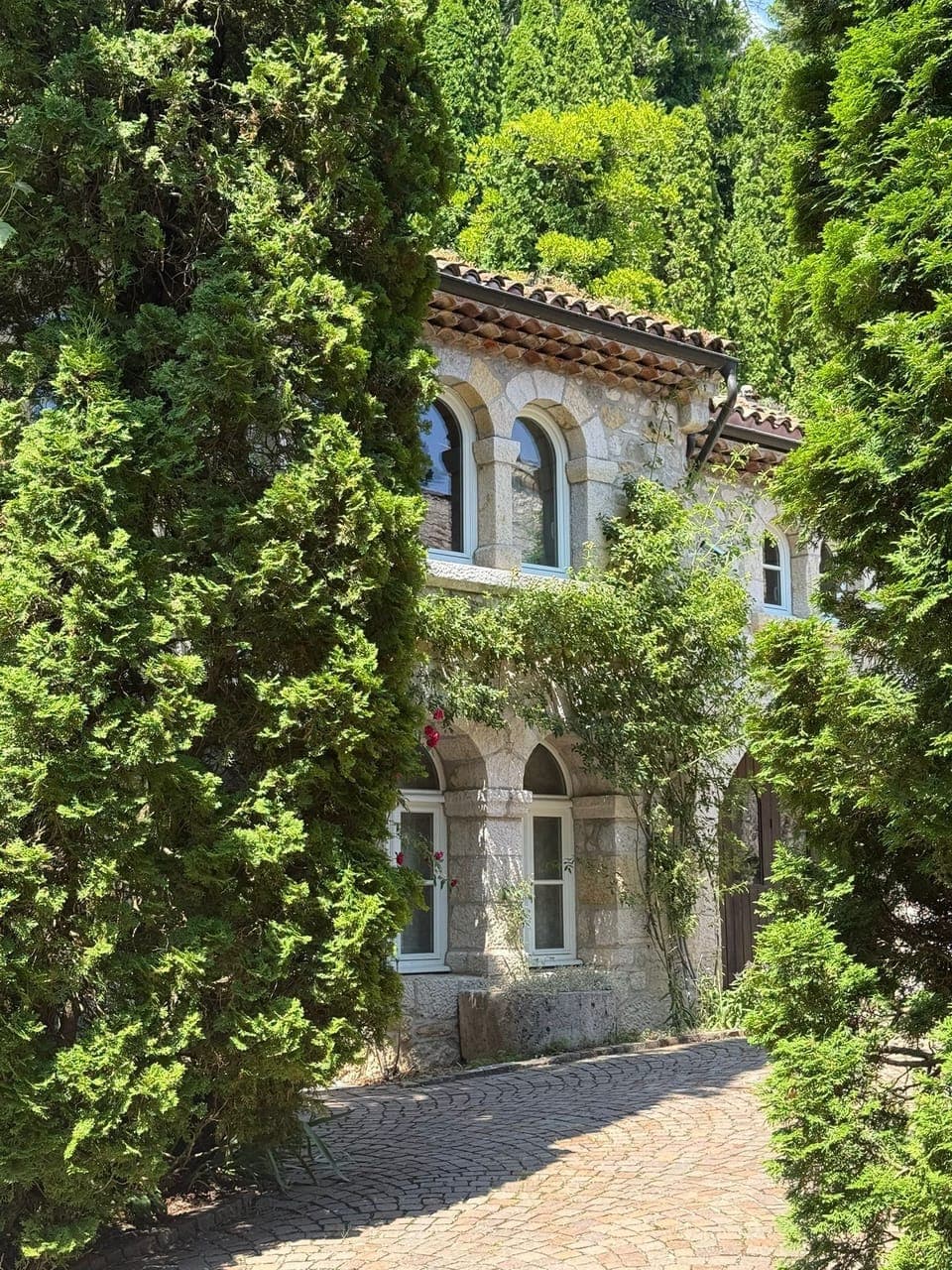 f9091f5c-af49-421e-87d8-3d4bd80d8cc8