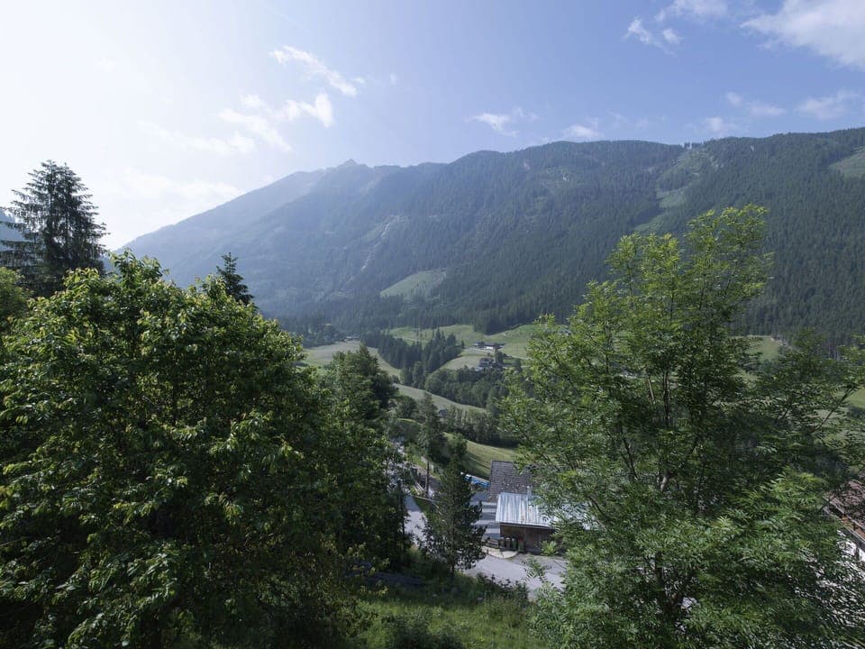 Mountainous Landforms, Mountain, Tree, Natural Environment, Hill, Vegetation, Highland, Natural Landscape, Mountain Range, Hill Station