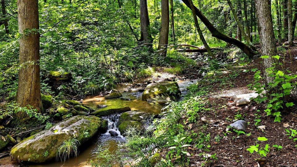 A quiet creek flows near the home