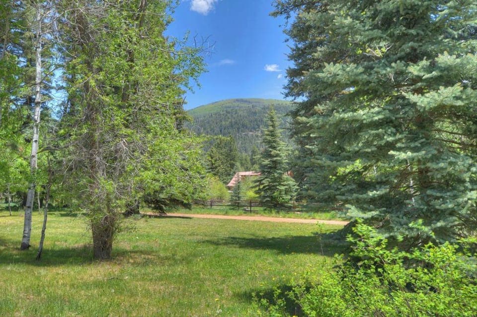 Large Yard
