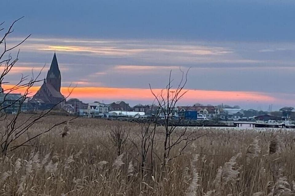 Immediate Surroundings [summer] (<1 km)