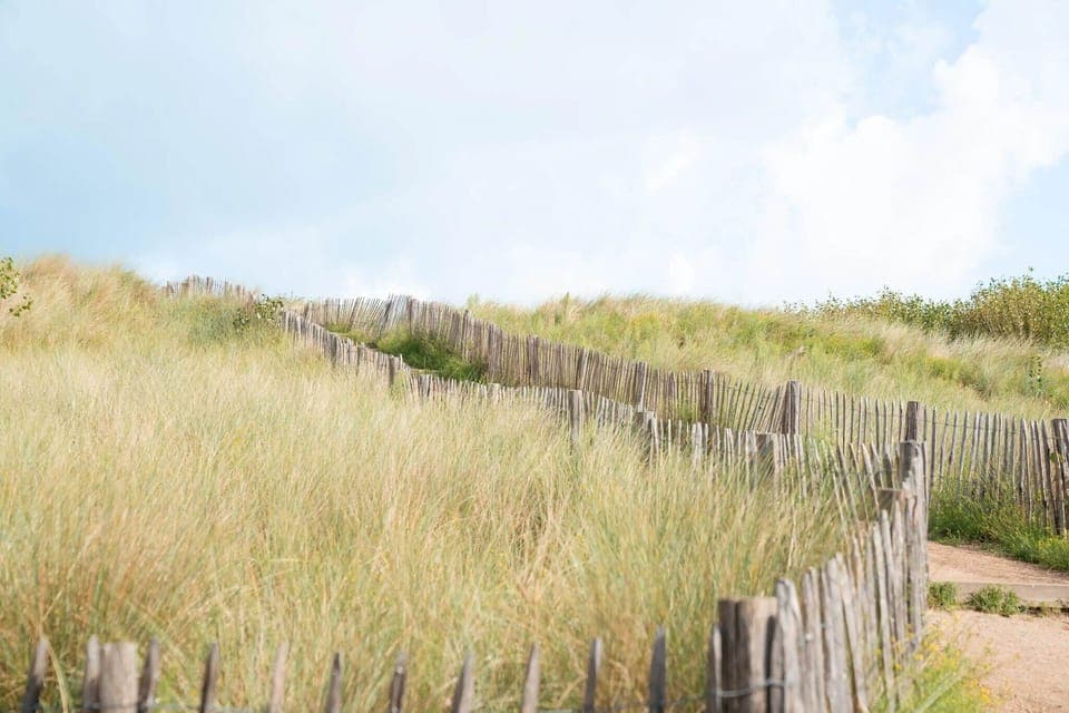 Region [summer] (>5 km)