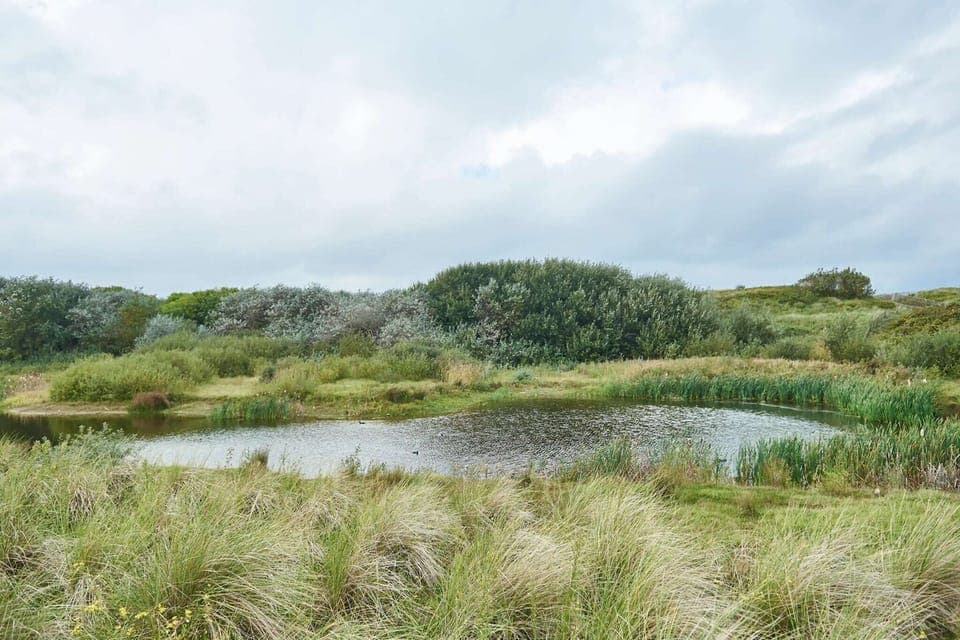 Region [summer] (>5 km)