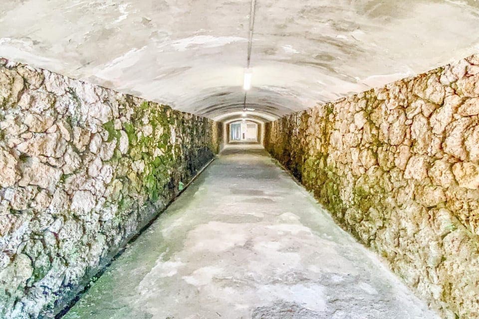 Immediate Surroundings [summer] (<1 km)