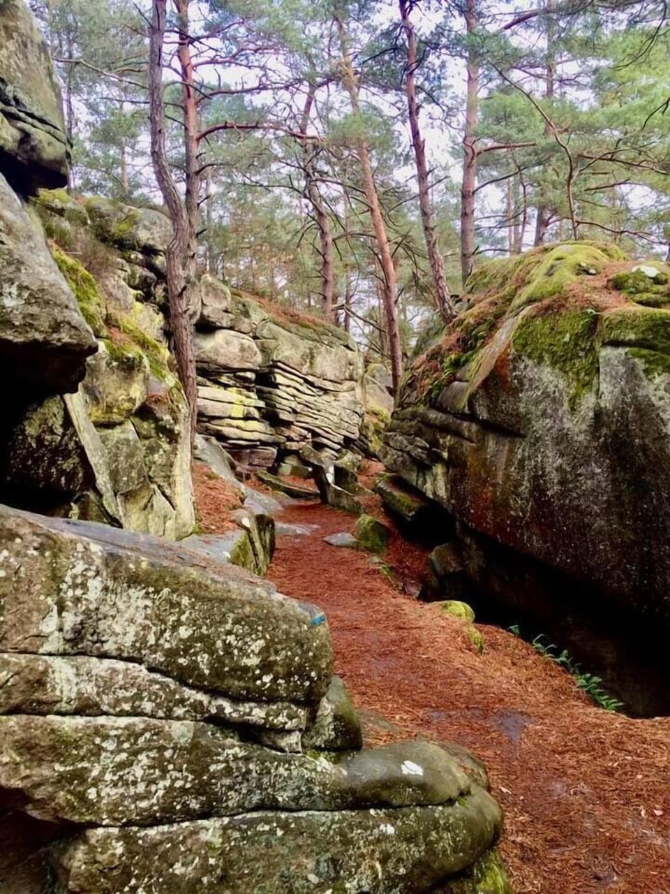 304e5449 070b 4b4a a51f c8cf55fcd586