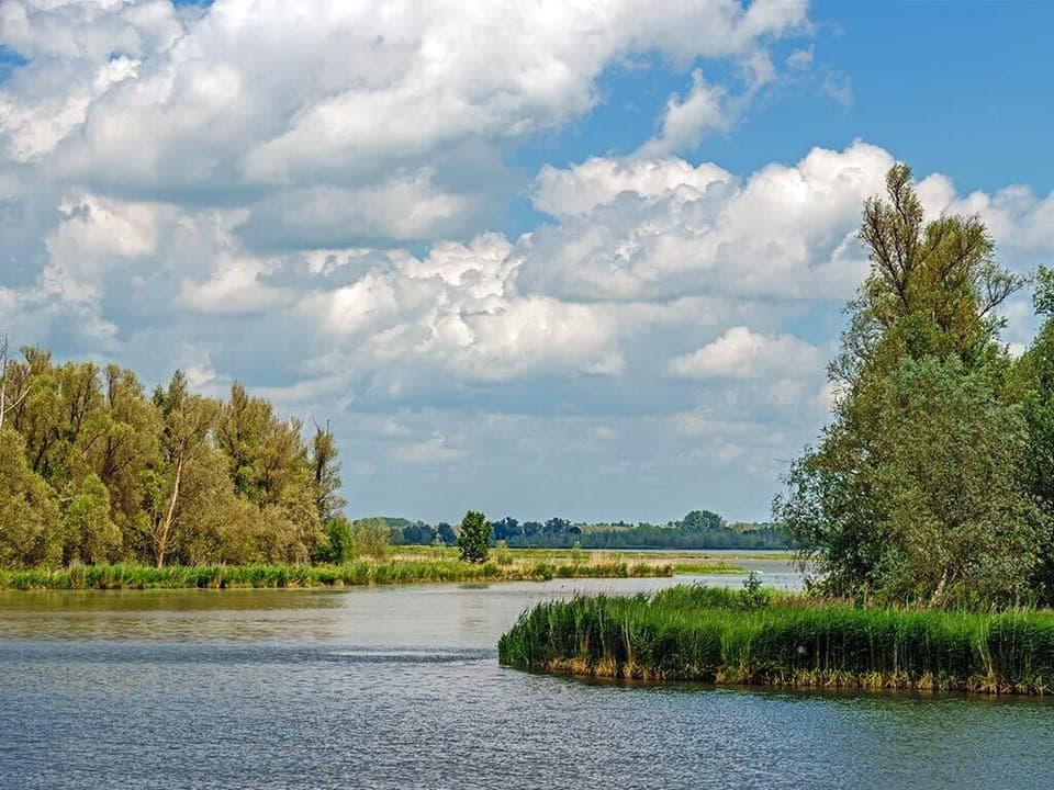 National Park De Biesbosch