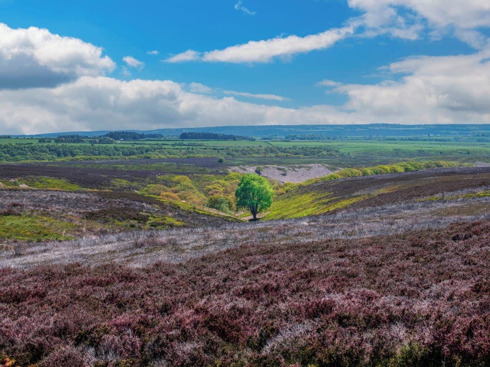 North Yorkshire Moors National Park