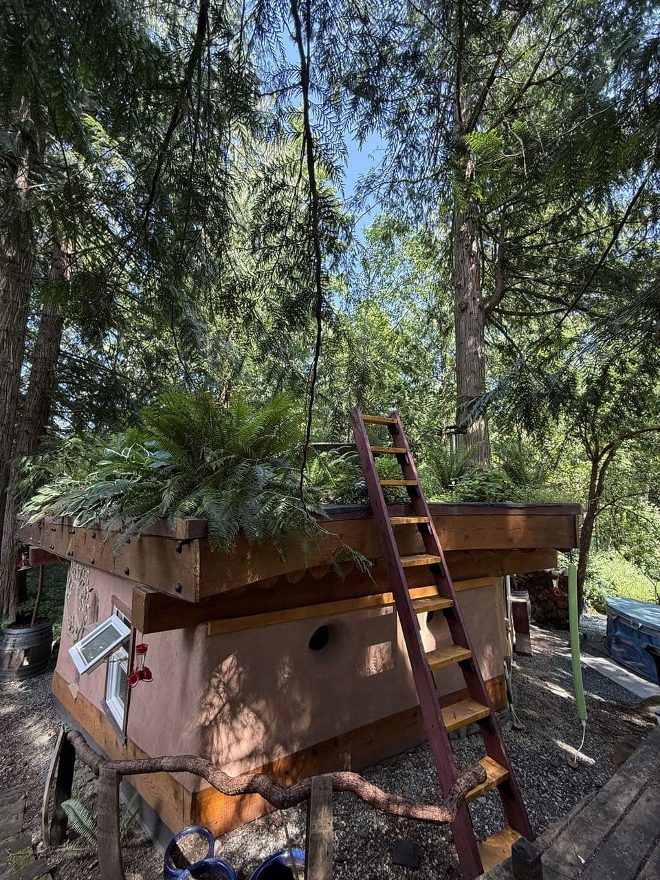 Living roof shot from upper dining deck