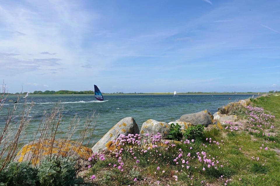 Immediate Surroundings [summer] (<1 km)