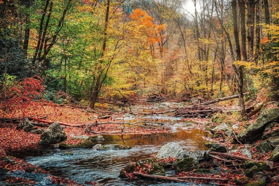 Take in one of the amazing hikes along the river