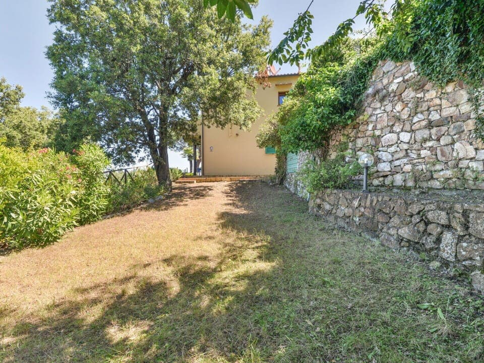 Shrub, Garden, Stone Wall, Backyard, Landscaping