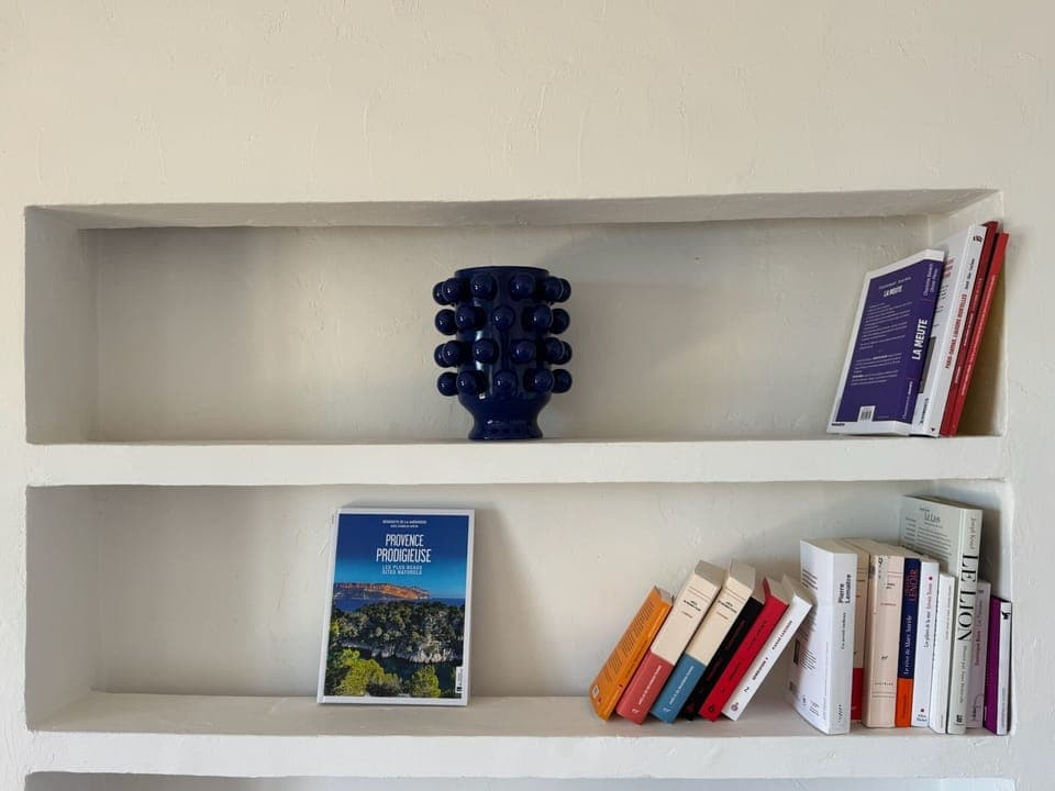 23 livres et vase bleu 2