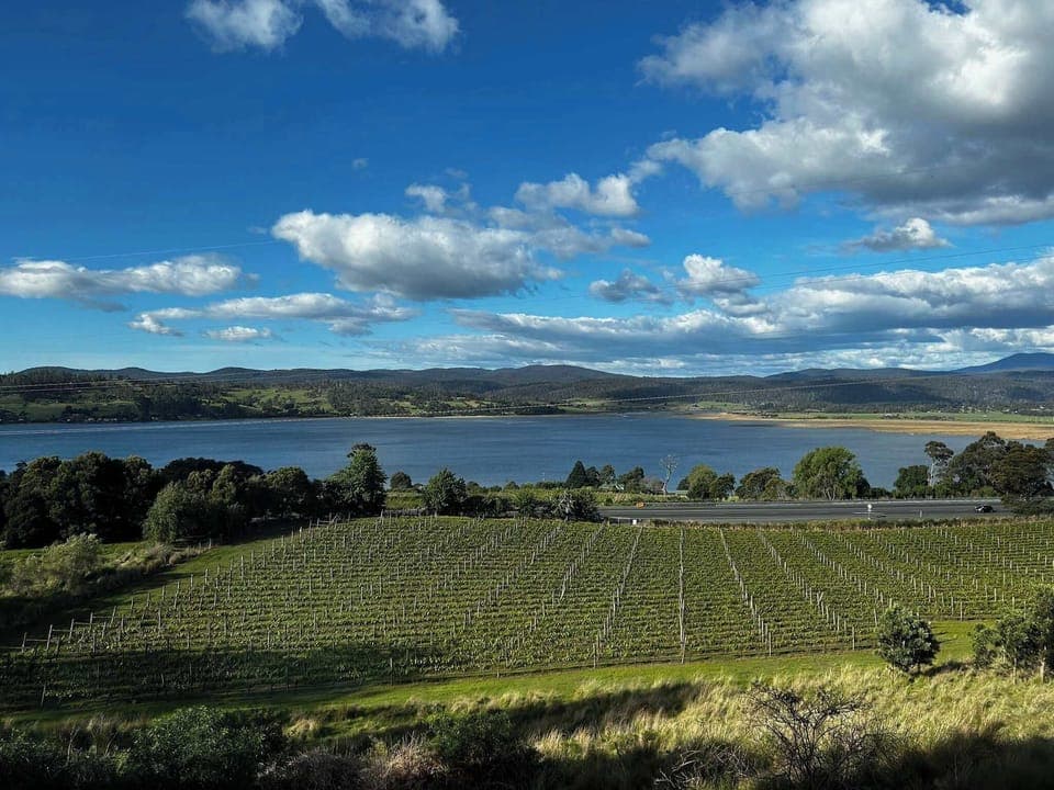 The Lookout Studio - Best view of the vineyard and river