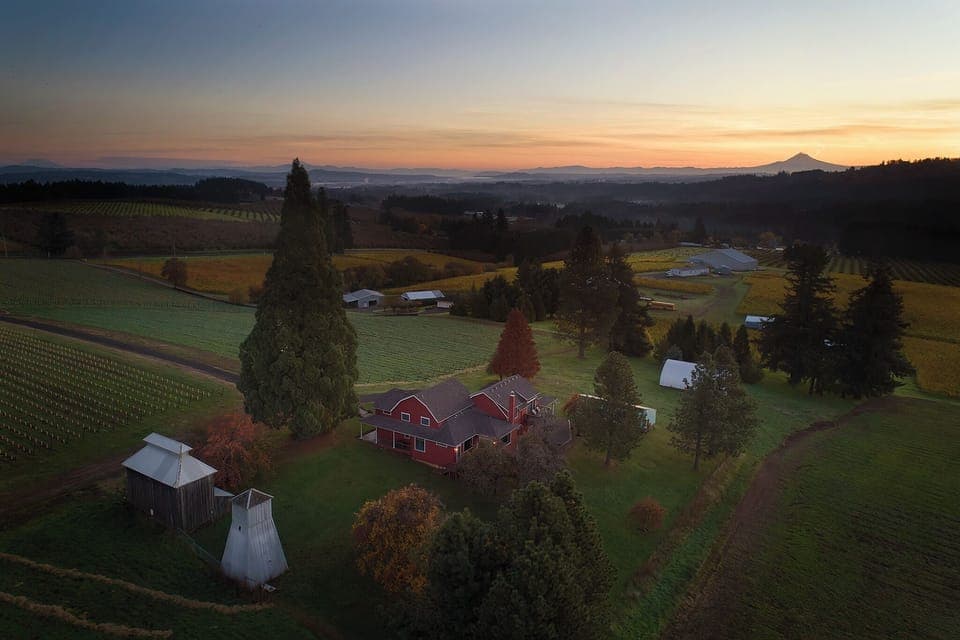 Bell Road Farmhouse. Nestled in the vines with Mountain views