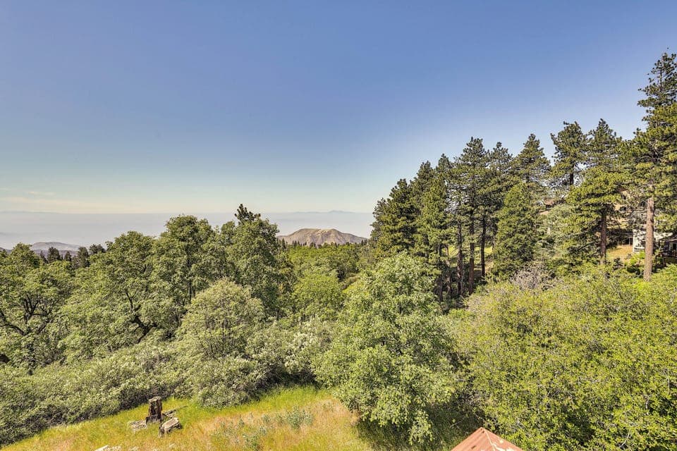 Mountain & City Views