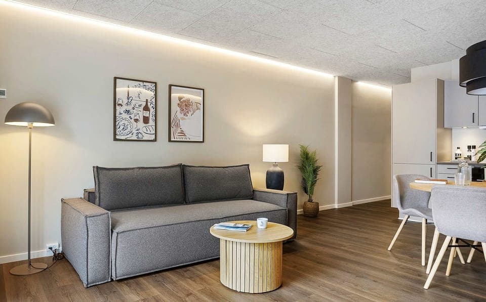 Living area with a very comfortable sleeping sofa, that sleeps 2 people.