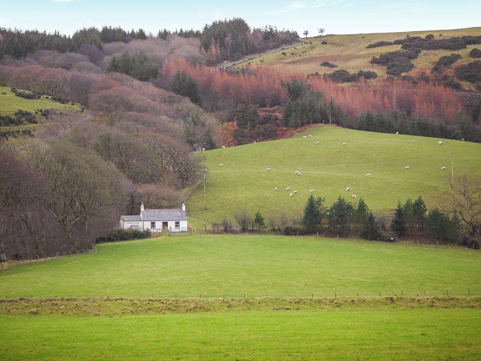 Setting | Professors Cottage, Girvan