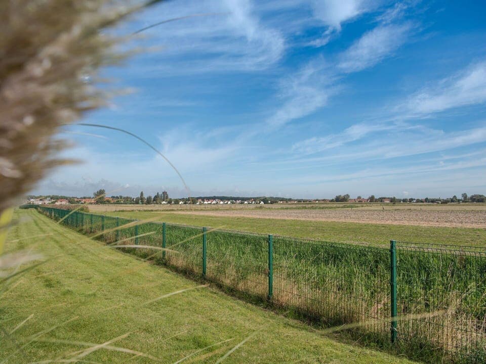 Sky, Grassland, Field, Green, Grass, Daytime, Natural Landscape, Cloud, Land Lot, Natural Environment