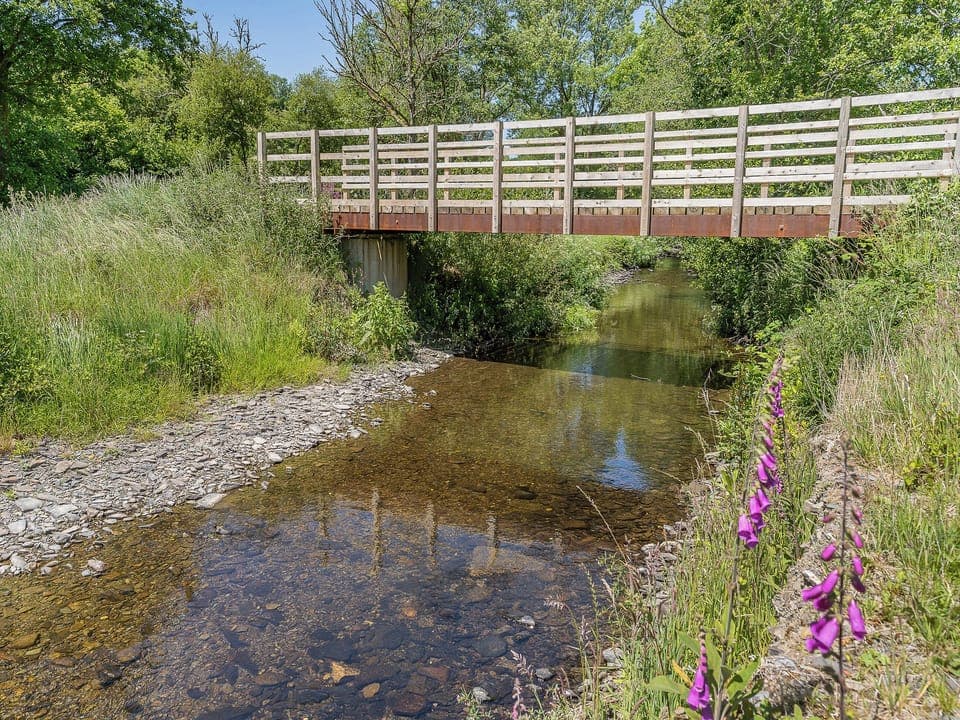 Surrounding area | The Old cowsheds 5 -Llanilar - Gaer Cottages, Cribyn, Lampeter