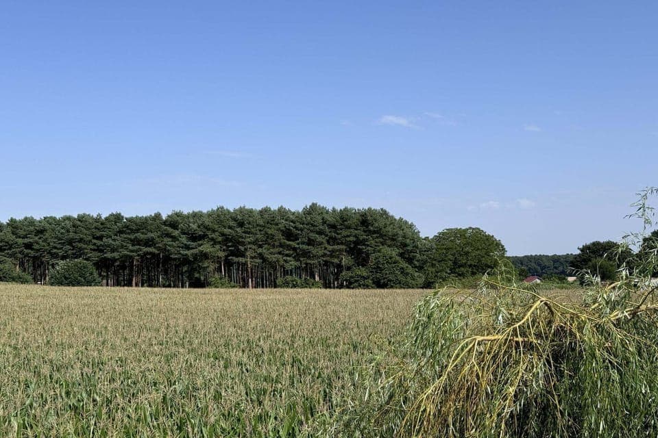 Immediate Surroundings [summer] (<1 km)