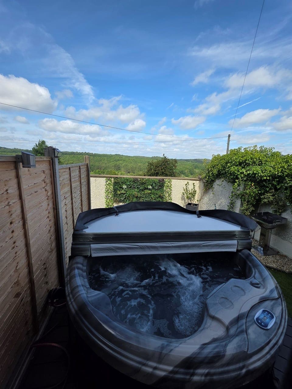 Private hot tub and forest views