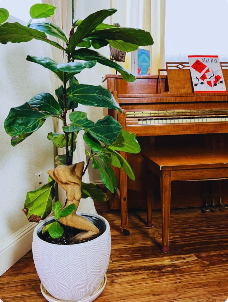 A thoughtful layout that balances openness with personal space.