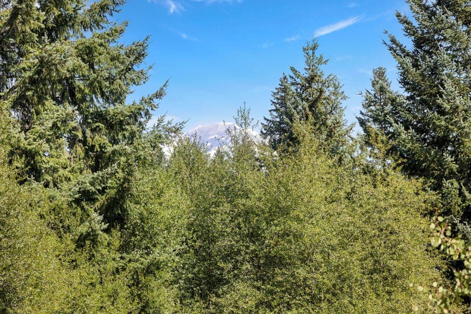 "Beautiful spot in the Mt. Adams area!" Jenna