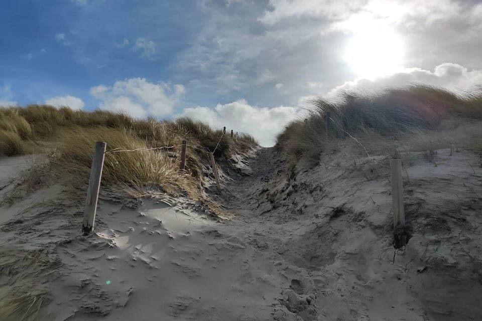 Surroundings [summer] (1-5 km)