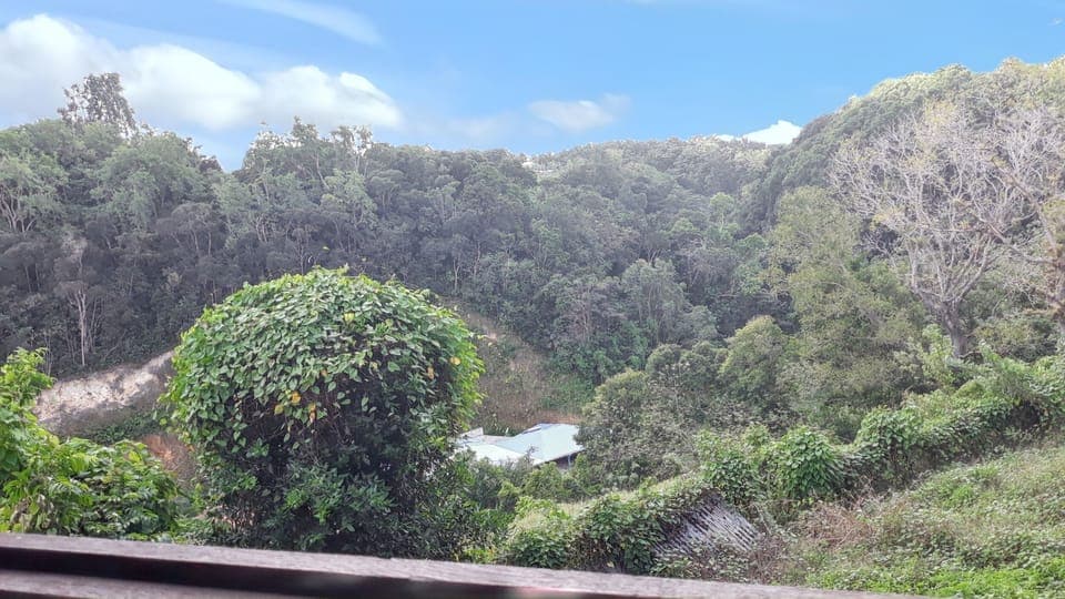 Areal view