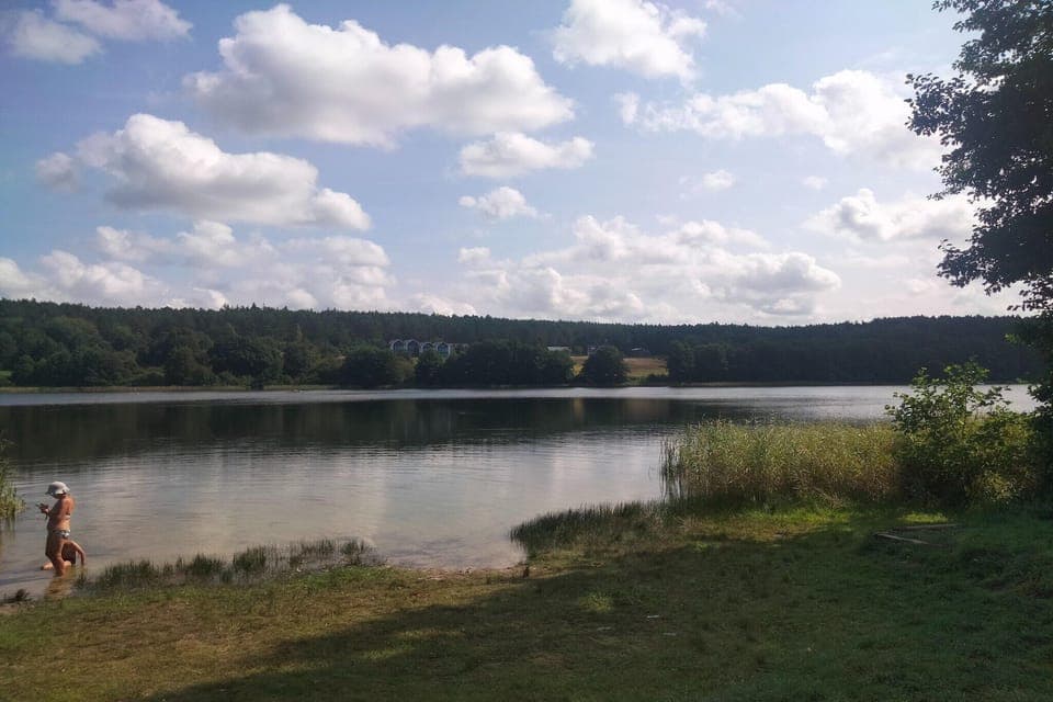 Region [summer] (>5 km)