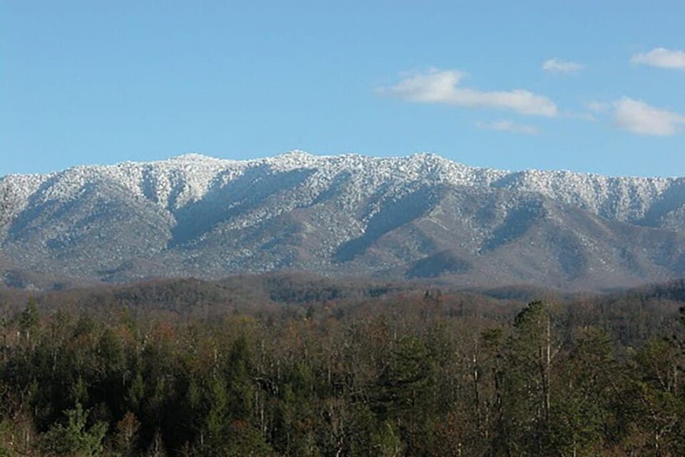 7020oyIgZjazH-20210407123339