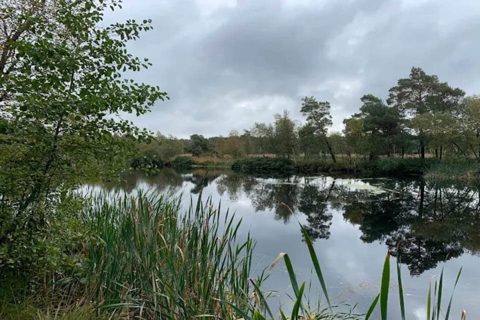 Immediate Surroundings [summer] (<1 km)