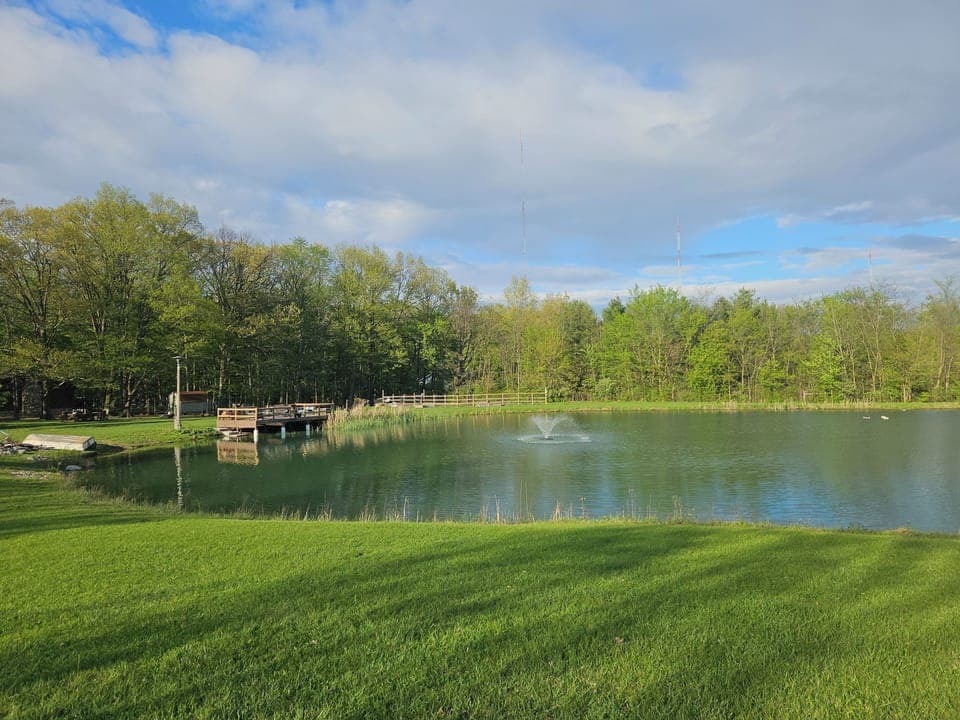 Pond in spring
