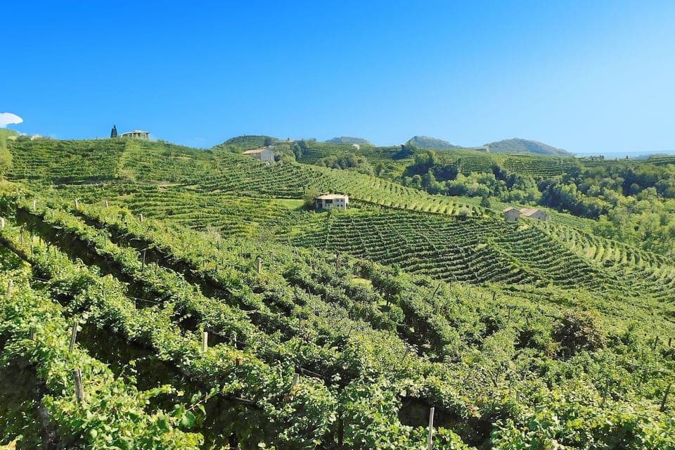 Activities, Autumn, Building Exterior, Spring, Summer