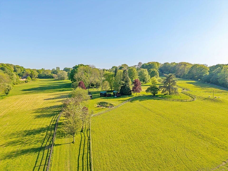 Deck, Shade, Hardwood, Outdoor Furniture, Balcony, Plank, Eco Hotel, Swimming Pool, Wood Flooring, Resort