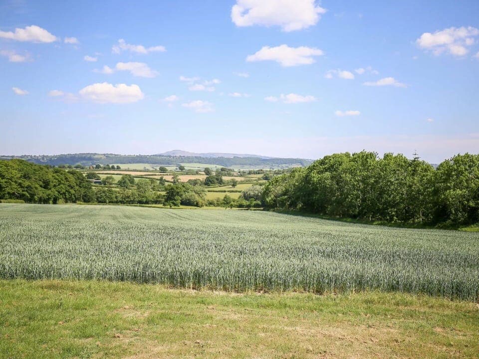 Deck, Shade, Hardwood, Outdoor Furniture, Balcony, Plank, Eco Hotel, Swimming Pool, Wood Flooring, Resort