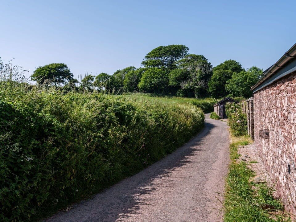 Vegetation, Shrub, Plant Community, Rural Area, Hedge, Groundcover, Thoroughfare, Trail, Plantation