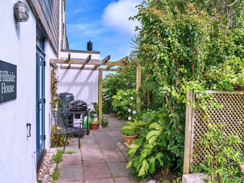 Shrub, Flowerpot, Garden, Houseplant, Yard, Backyard, Outdoor Furniture, Landscaping, Shade